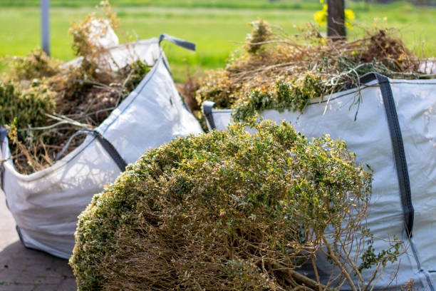 Best Construction Debris Removal  in Wilkes Barre, PA